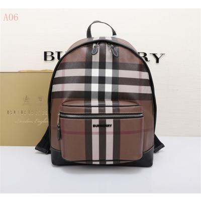Burberry Bags AAA 042